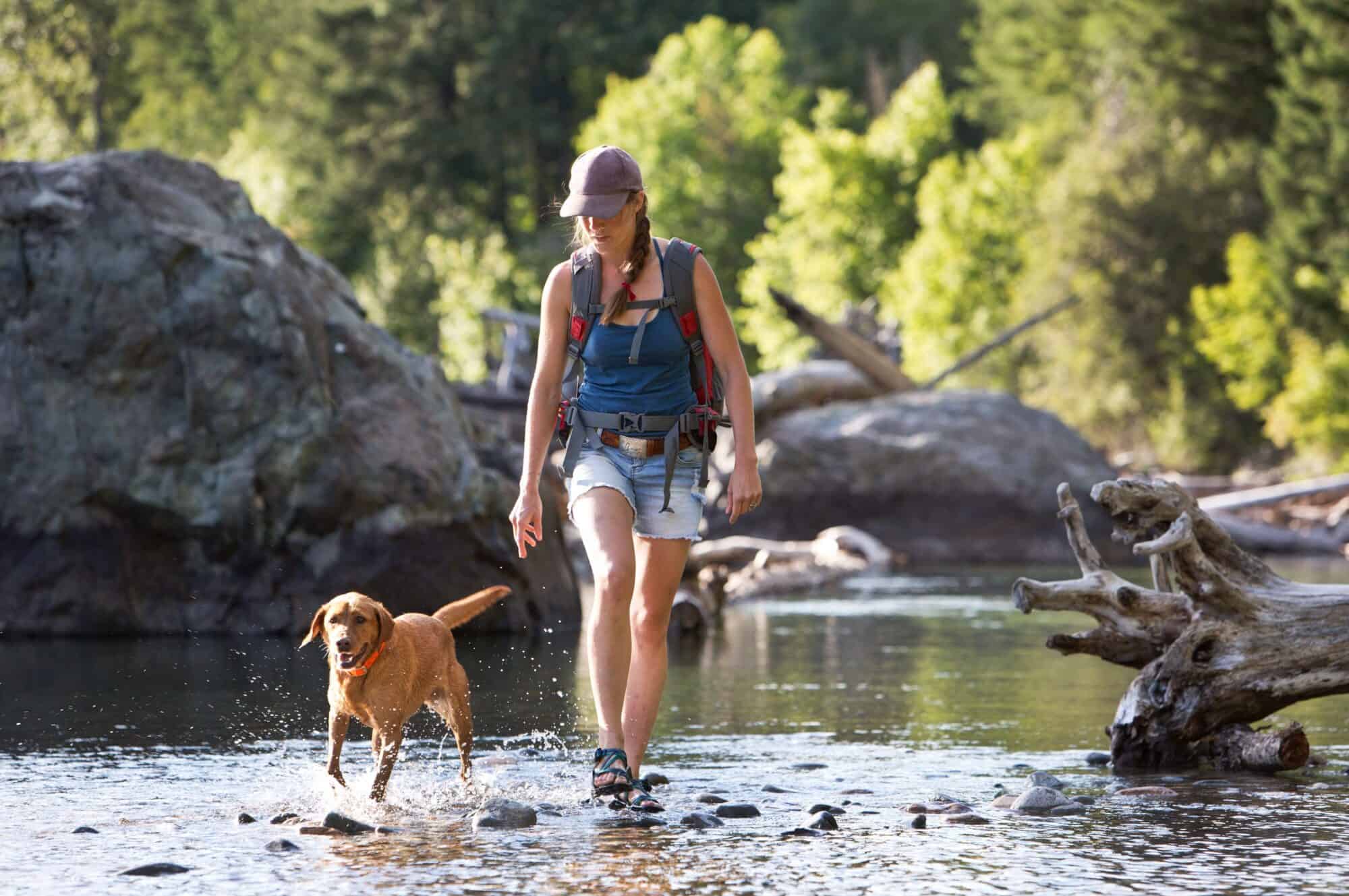 Dog hiking.