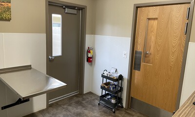 Main Street Veterinary Clinic's euthanasia room