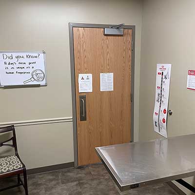 Dog exam room